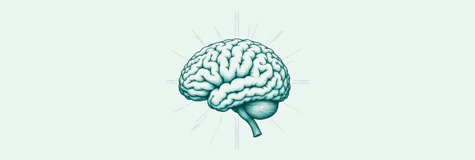 A line-art brain of connected nodes