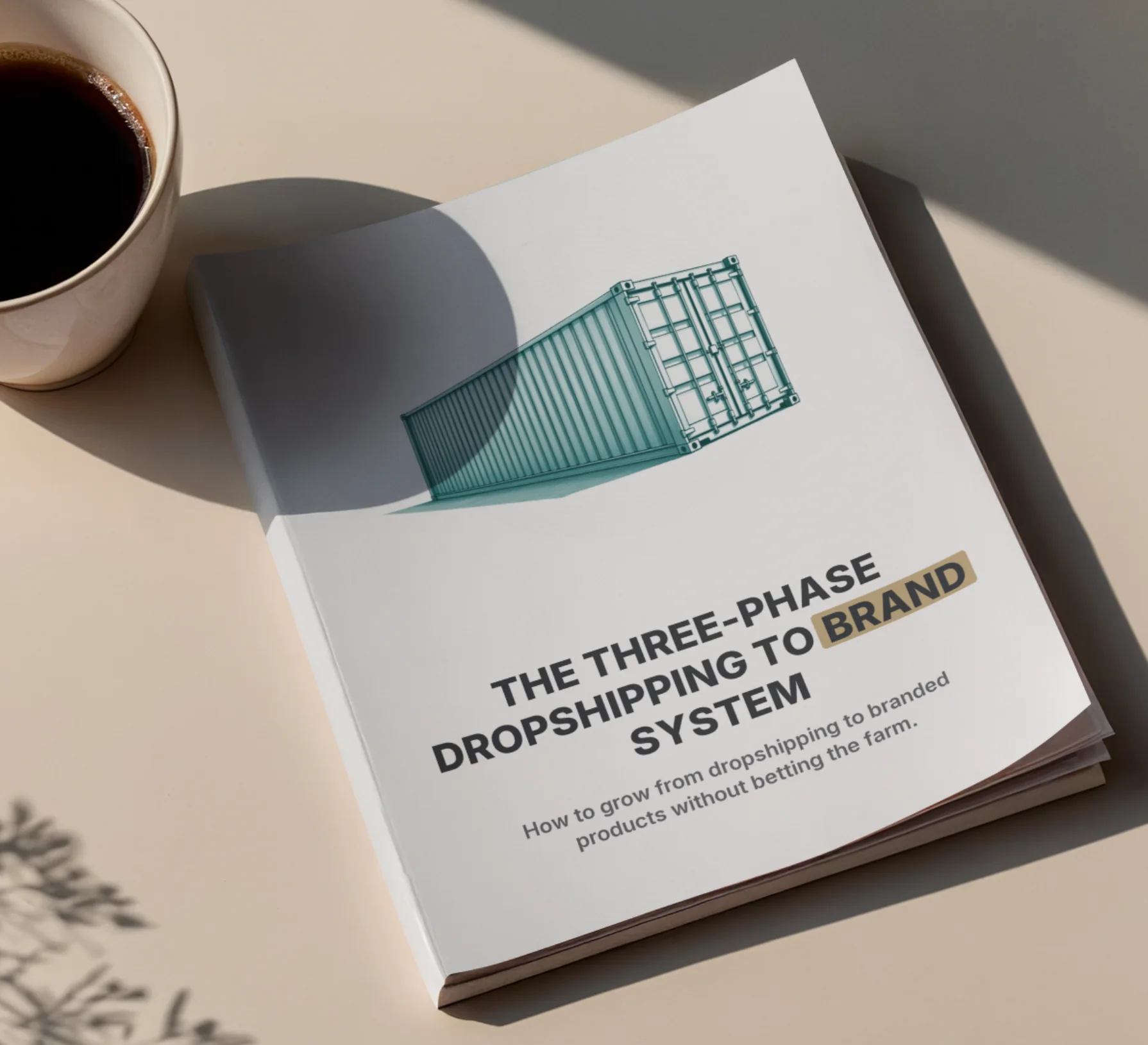 The Three-Phase Dropshipping to Brand System guide on a desk